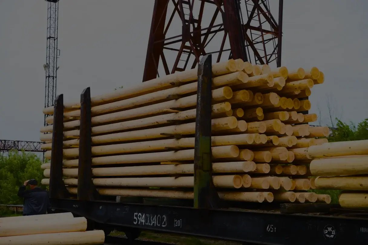 Treated poles loaded on a rail wagon at the plant